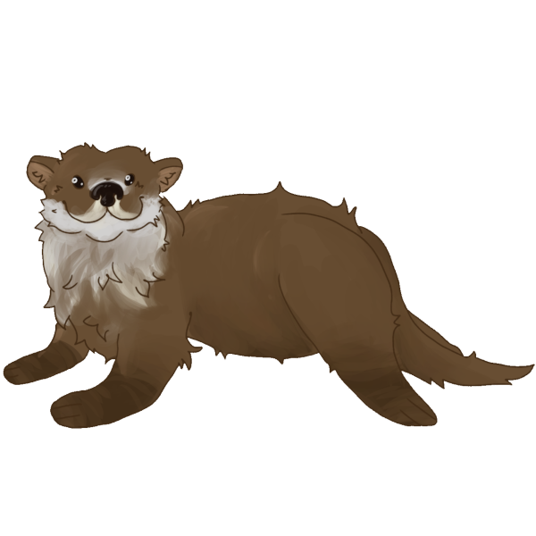 A brown drawn sea otter otter lies facing left. It has a lighter chest, small ears, a dark nose, and lively eyes. Its body is long and sleek with a thick tail.
